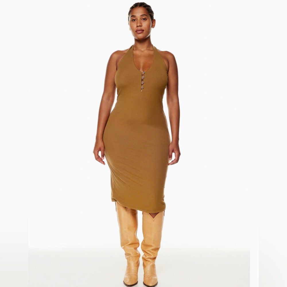 Aritzia Temperature Dress